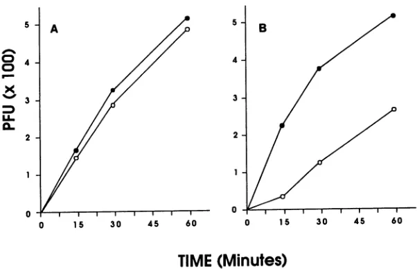 FIG. (Minutes)towashed,incubated 2°C 6. Displacement of adsorbed PrV(Be) (A) and PrV2 (B) from the cell surface by heparin