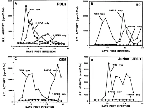 FIG. 3.elements.production Infections of human T cells with wild-type HIV or mutant HIV derivatives with LTRs containing two or three Spl and no NF-KB Activated PBLs or H9 cells were infected with the indicated virus preparations as described in Materials 