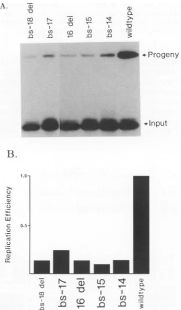 FIG. 8.gramoriginsofefficiencyversusshown the Replication of site III mutants. Wild-type and mutant were tested as previously described