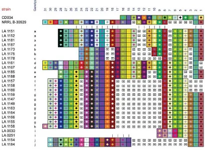 Figure 2.3| CRISPR spacer overview 