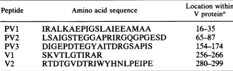 TABLE 1.generate Amino acid sequences of synthetic peptides used to monospecific and polyspecific rabbit antisera against theMV P and V proteins
