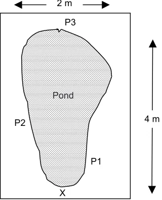 Figure 2Position of sampling points A-D at impact area