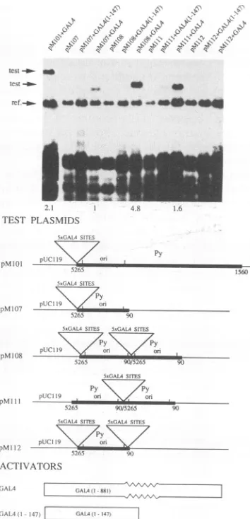 FIG. assay of plasmidsgivenoriginthelegendsplasmid pM107 valueaplasmid these indicated had the core duplications to DNA beenindicatethat the elements GAL4-dependent the andfor relative plasmids propagated Fig