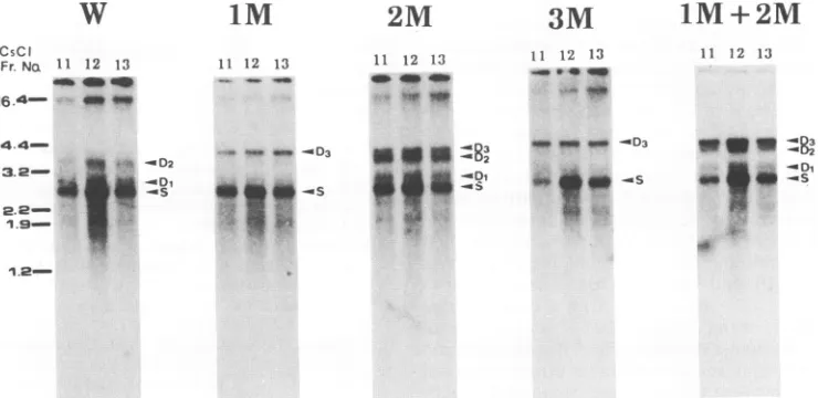 FIG. 7.deproteinizedobtainedfifthdisplayedtwice2M,cultureinD1,scribedsubjectedshown Fig