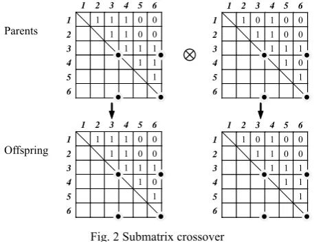 Fig. 1 Example of encoding matrices 