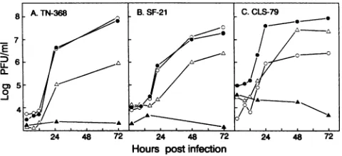 FIG.SF-21 (B), andd on TN-368 (A)1-368 (A), SF-21coinfection intodof on AcNPV CLS-79with TN-368 BmNPVThe (C)