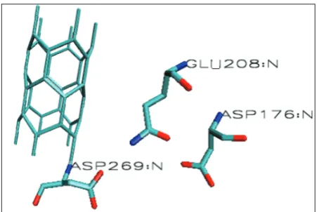 Figure 1: The structure of nanotube –catalytic site of bacillus subtilis α amylase in VMD software.