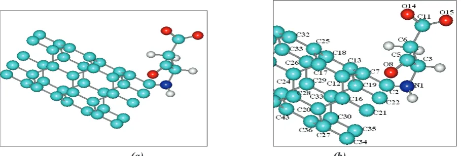 Figure 2:  The geometrical structure of the optimized structure atoms