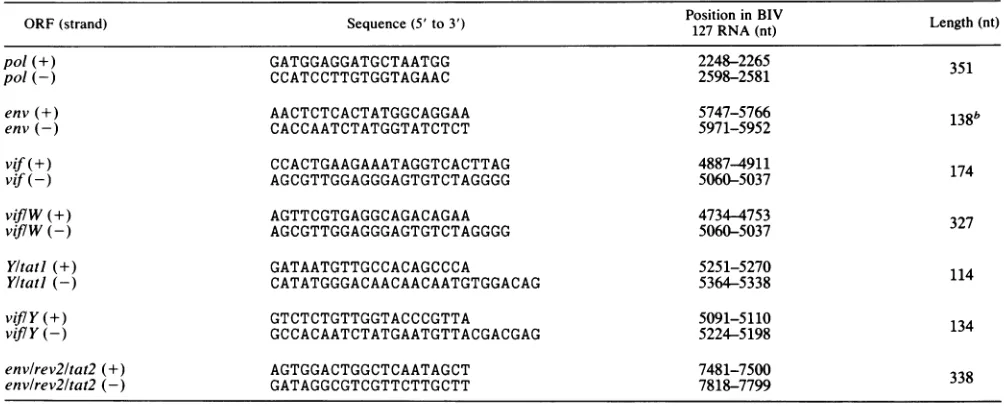 TABLE 1. Synthetic oligonucleotides used as PCR primers for probe synthesisa