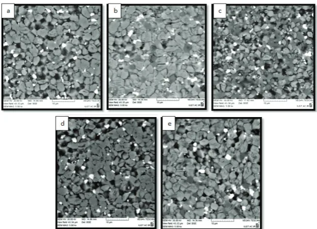Figure 2: SEM image of varistor samples with different composition: (a) 0% SiC with submicron ZnO; (b) 2% SiC with submicron ZnO; (c) 6% SiC with submicron ZnO; (d) 0% SiC with nano size ZnO; (e) 2% SiC with nano ZnO