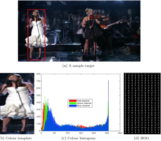 Figure 2.1: Examples of target representations: (a) a sample target (rectangular red bounding box) and corresponding (b) colour template and (c) colour histogram (Y-axis is the number of pixels in the image at each intensity value along X-axis) and (d) HOG
