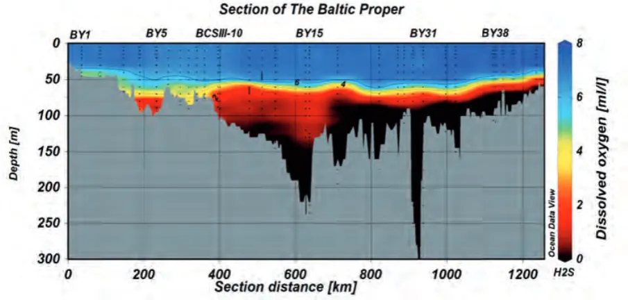Figure 2.9. Extent of oxygen-free areas (black) and areas with oxygen defi ciency (grey) in the Baltic during autumn 2010 (Hansson et al