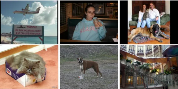 Figure 3.2: Examples of images from our dataset consisting of text, human faces, dogs, cats and other background objects