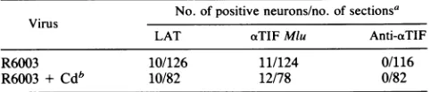 TABLE 1. Expression of oaTIF and LAT by R6003