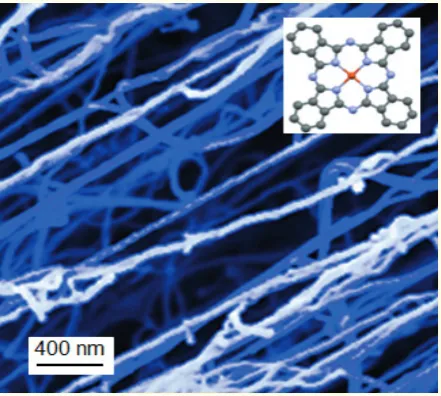 Figure 5. Crystalline nanowire of the molecular semiconductor copper phthalocyanine (see molecular structure in the inset) with diameters down to 10 nm, aspect ratios close to those of carbon nanotubes and deposited at room temperature over large areas