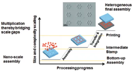 Figure 11. Generic principle of bottom-up assembly for scalable production of complex structures: (1) Parallel assembly of functional units exploiting unique characteristics of nanoscale materials properties