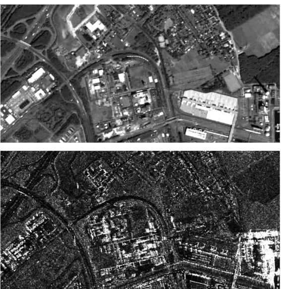 Figure 1. Visual comparison of an optical (top) and SAR image (bottom) acquired over the same area.