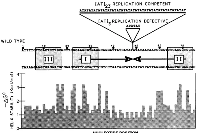 FIG.1.ofcentralregiondefinedand the Sequences of the functional and nonfunctional HSV-2 replication origins