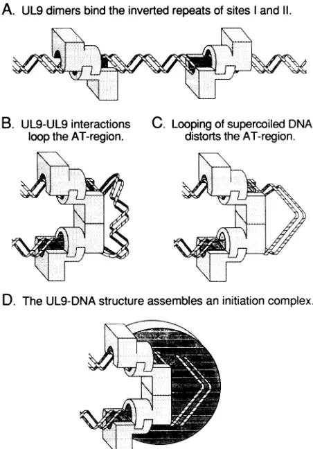 FIG.through