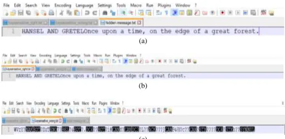 Figure 4. (a) Hidden message, (b) text extraction using the right key, (c) text extraction using the wrong key 