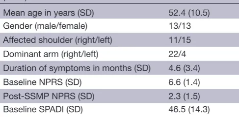 Table 1  Demographic description of the participants 
