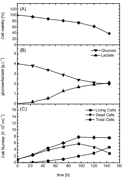 Fig. 1:Time profile of cell growth, glucoseconsumption and lactate production duringHeLa S3 cells cultivation in Ham’s F12medium supplemented with 5% FBS