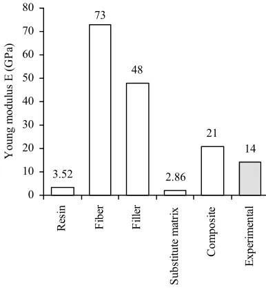 Fig. 6. Computed and experimental Young moduli 