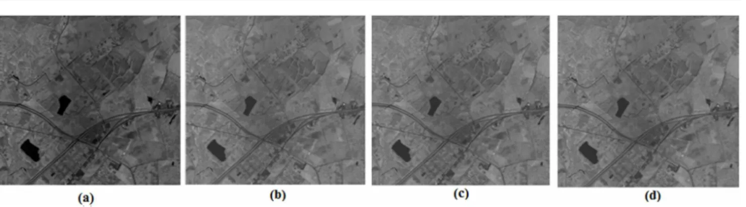 Fig. 4: Compression results for Yellowstone: