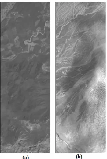 Fig. 3: Spaceborne compression dataset: (a) Mt. St. He- He-lens image (768 × 256); (b) Erta Ale image (768 × 256).
