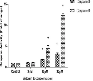 Fig 7. Detection of Caspases 8 and 9 activations in MDA-MB-231 cells treated with Artonin E after 24