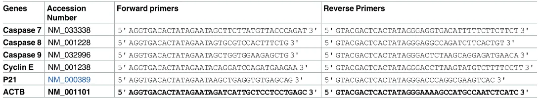 Table 1. The accession number and sequence of the primers used in the gene expression studies.