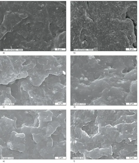 Figure 1. SEM micrographs of (a) 90PP/10NPCC and (b) 85PP/15NPCC prepared using melt extrusion technique;(c) 90PP/10NPCC and (d) 85PP/15NPCC prepared using melt mixing technique and (e) 90PP/10NPCC and(f) 85PP/15NPCC prepared using melt mixing technique with 10 wt% PP-g-MAH as compatibiliser