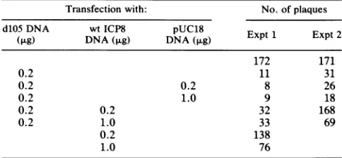 TABLE 2. Growth of wt HSV-1 on different cell lines