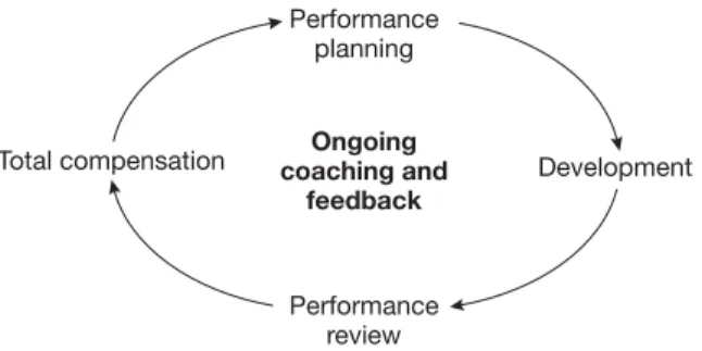 Figure 2.6 Pfizer Inc performance management process