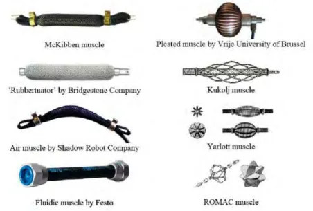 Figure 2.1: Various types of muscle actuators 