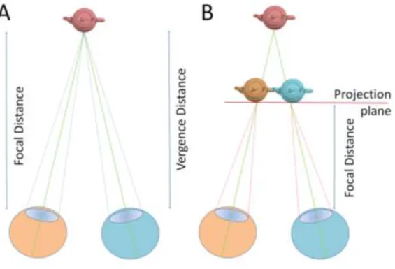 Figure 2. In natural environments accommodation (determined by focal distance) and  vergence  are  linked  (a)