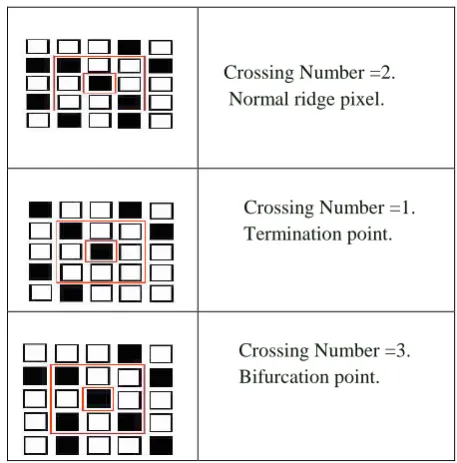 Figure:  Binarized fingerprint Image source: [5]. 
