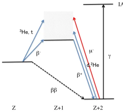 Figure 1.4: Double beta and single beta response probe[24]