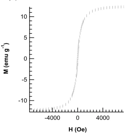 Figure 2: TEM images of Fe2O3@Pt core-shells.