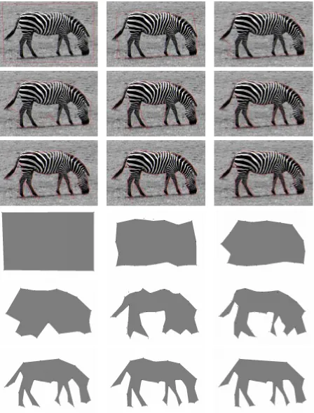 Figure 4.11: A zebra ﬁgure is captured by the active polygon model. A generic rectangular activepolygon close to image boundaries is initialized.