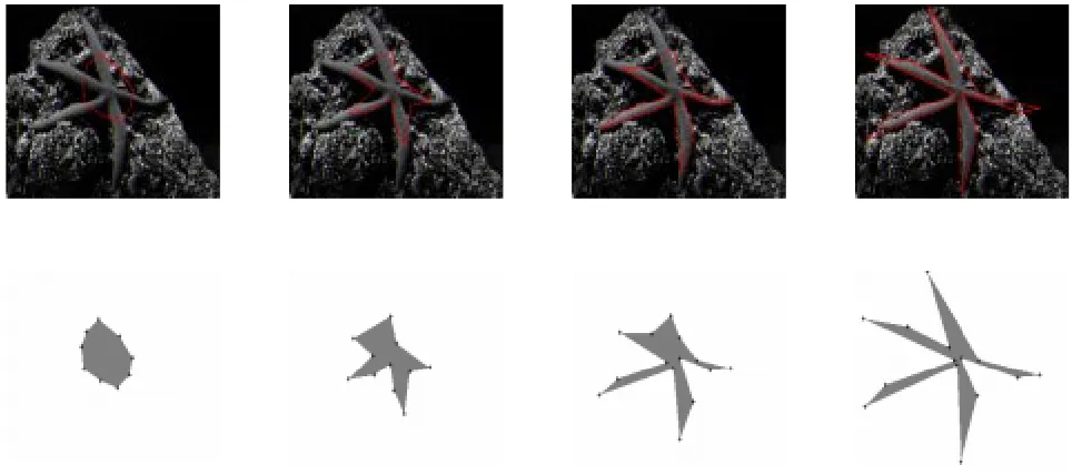 Figure 4.13: A ﬁsh with a striped texture is captured.