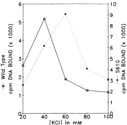 FIG. 5.eachtheDataproteinlegendS61G Effects of KCl on DNA binding by the wild-type and v-erbA mutant proteins