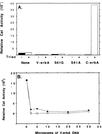 FIG. 8.gene(S61G),wereintroducedofTRE-tk-CATexpressedcotransfectedabove,transferredmutant(None),inCAT(B)fixedisCATrelativehormone,ingS61G expressed the different Transcriptional repression mediated by wild-type and v-erbA proteins