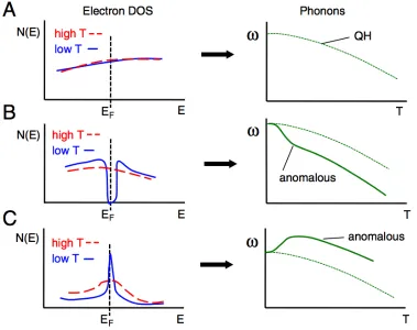 Figure 1.4: Trends in the temperature dependence of phonon energies ω on adiabaticelectron-phonon interactions for diﬀerent electronic densities of states N(E), assummarized by Delaire, et al