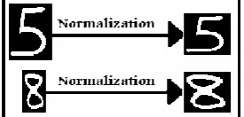 Fig. 2. Some samples of the used database. 