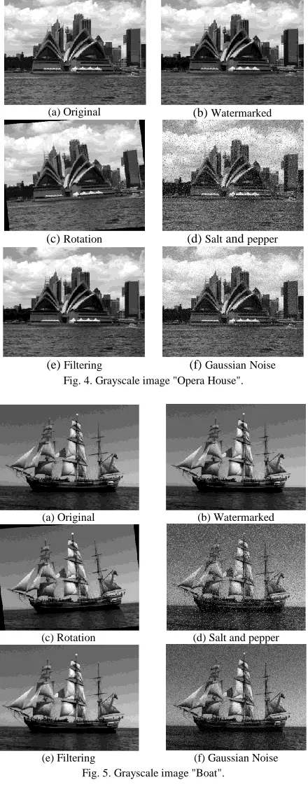 Fig. 4. Grayscale image "Opera House".    