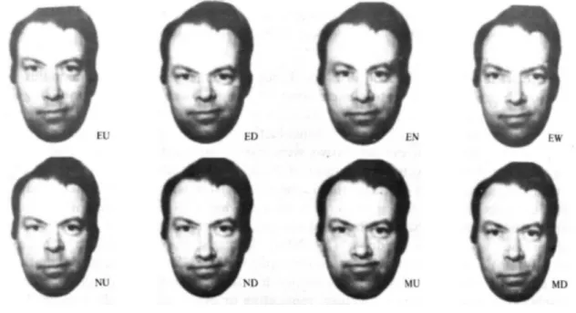 Figure	 1.8	 Example	 images	 of	 one	 identity	 with	 features	 changed	 in	 configuration	 across	 the	 different	 images	 taken	 from	 the	 study	 by	 Haig	 (1984).	 Features	 themselves	 remain	 intact,	 although	 the	 exact	 distances	between	features