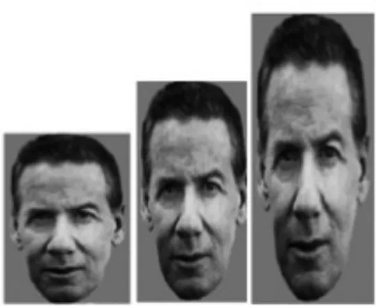 Figure	 1.9	 Example	 stimuli	 from	 Hole	 et	 al.	 (2002)	 showing	 original	 image,	 vertical	 stretch	 of	 150%	 and	 200%.		