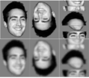 Figure	 1.10	 Example	 stimuli	 from	 Collishaw	 &amp;	 Hole	 (2000).	 Top	 row,	 from	 left	 to	 right	 images	 show	 the	 following	 image	 conditions:	 intact,	 inverted,	 scrambled.	 Bottom	 row	 images	 show:	 blurred,	 blurred	 and	 scrambled,	blurre