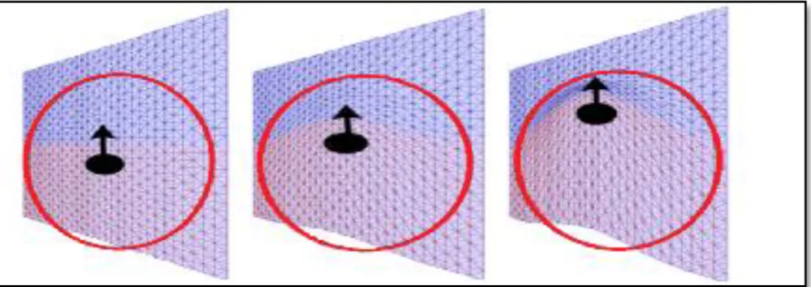 Fig. 7.  Deformation within a region of influence (a) null intensity, (b) medium intensity, and (c)  maximum intensity 